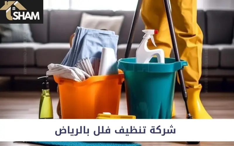 شركة تنظيف فلل بالرياض